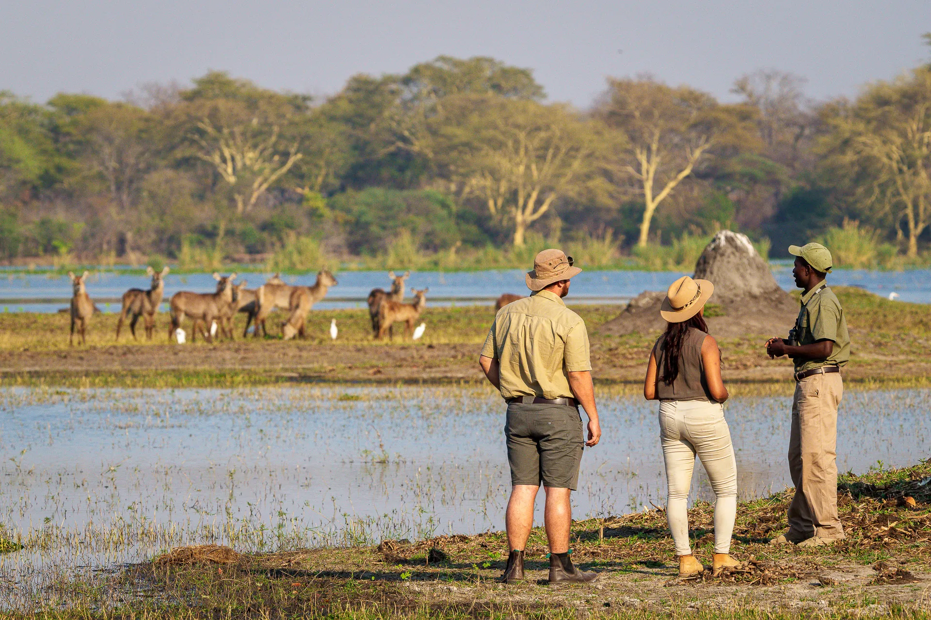 Family and Group Tours